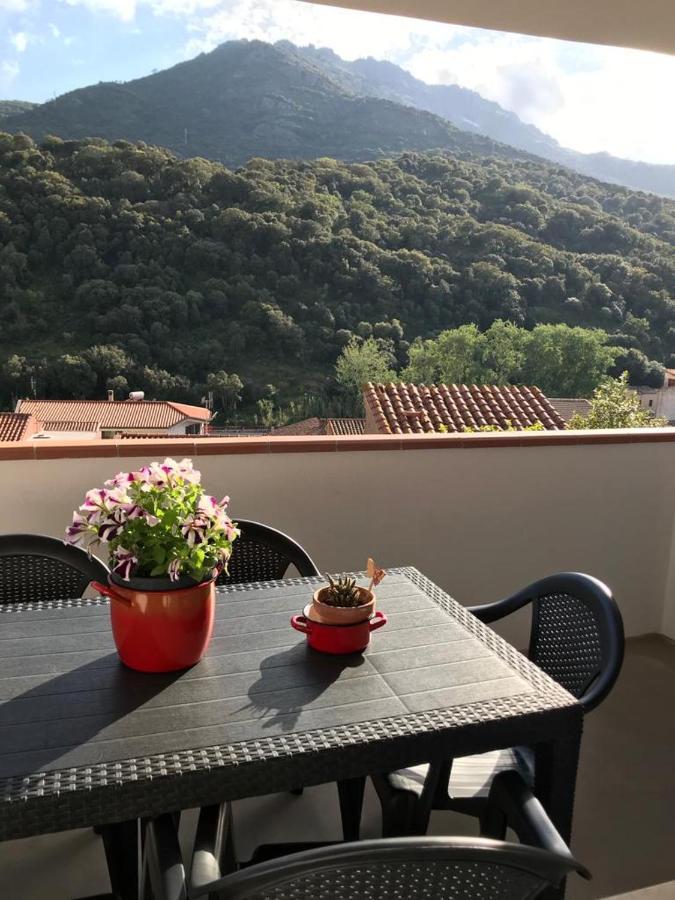 La Corbula - Casa Vacanze - Q5992 Fluminimaggiore Luaran gambar